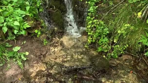 Agua potable que cae del manantial del bosque y fluye a través de las piedras musgosas, fuente de agua natural — Vídeo de stock