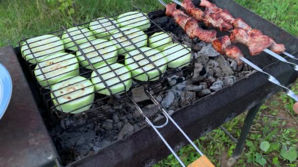 구운 고기와 야채를 만드는 사람 주치니 바베큐의 개념 — 비디오