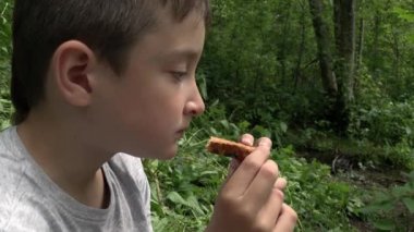 10 yaşında bir çocuk yaz ormanında oturur, kurabiye yer, açık hava pikniği yapar, doğa yürüyüşü yapar ve sırt çantasıyla gezer.