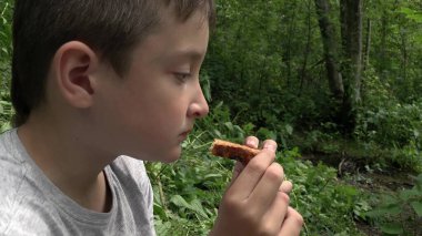 10 yaşında bir çocuk yaz ormanında oturur, kurabiye yer, açık hava pikniği yapar, doğa yürüyüşü yapar ve sırt çantasıyla gezer..