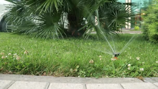Automatic irrigation system, lawn sprinkler sprayer in action watering grass and plants. — Stock Video