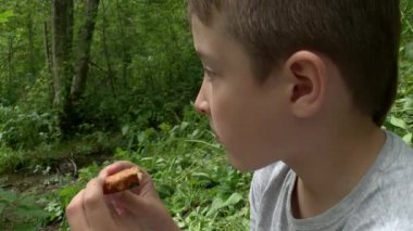 10 yaşında bir çocuk yaz ormanında oturur, kurabiye yer, açık hava pikniği yapar, doğa yürüyüşü yapar ve sırt çantasıyla gezer.