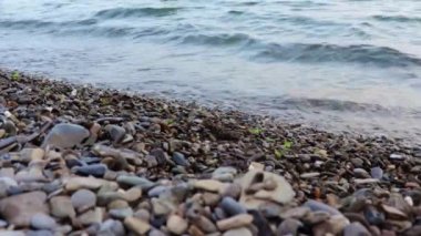 Sakin deniz dalgaları çakıl taşlı bir plajda, akşamları kıyıya vuruyor.