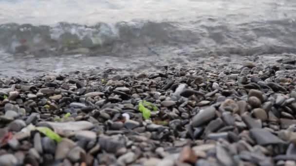 Calma tranquilas olas del mar golpeando en una playa de guijarros verano, orilla — Vídeos de Stock