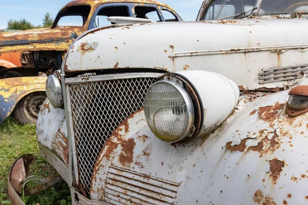 Mozhaisk Rússia Agosto 2019 Velhos Veículos Enferrujados Abandonados Carros Esmagados — Fotografia de Stock