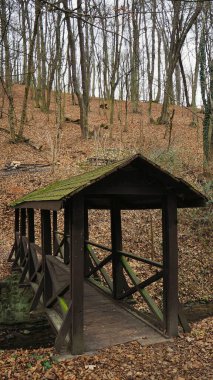 Bratislava 'da nehir üzerinde bir köprü..