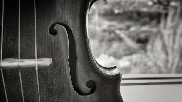 Violino Toca Bom Músico Violino Tem Som Lindo — Fotografia de Stock