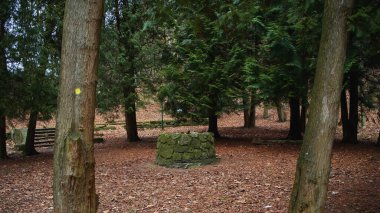 Küçük Karpaty 'de ormanın ortasında..