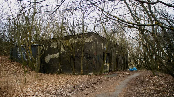 Pequeña Casa Abandonada Medio Del Bosque Bratislava —  Fotos de Stock