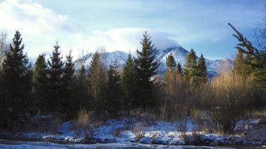 Güzel High Tatras geçmişi. Slovakya doğa arkaplanı.