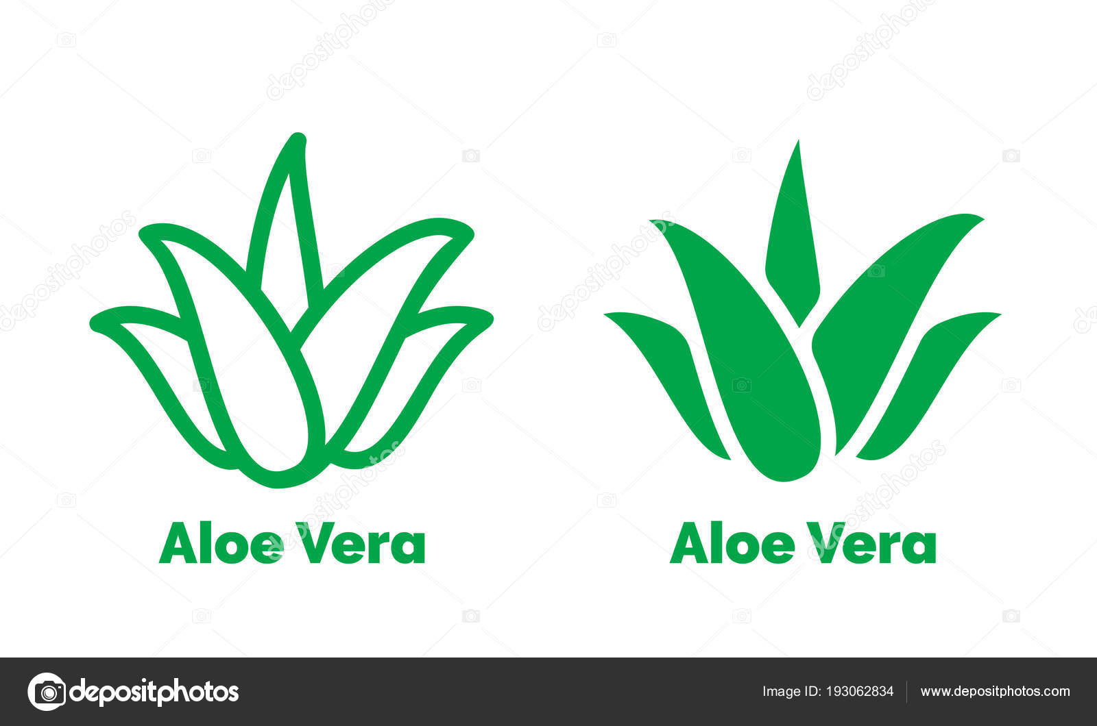 Etiket: Aloe Vera Etiket: Aloe Vera