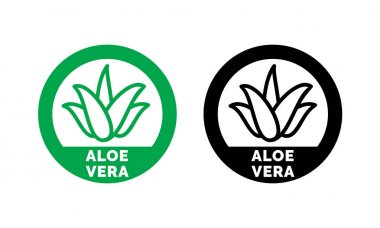 Aloe Vera etiket yaprak yeşil vektör simgesi