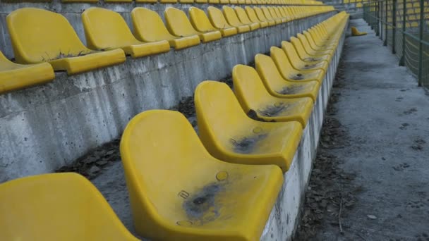 Yellow chairs in an empty stadium, 4k — Stock Video