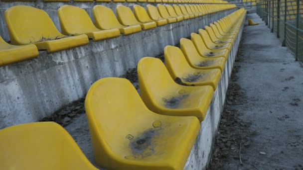 Gele stoelen in een leeg stadion, 4k — Stockvideo