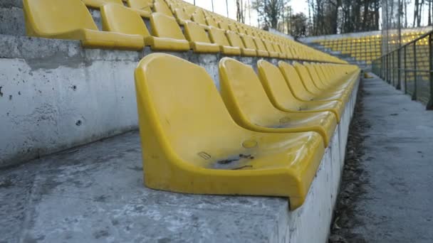 Yellow chairs in an empty stadium, 4k — Stock Video