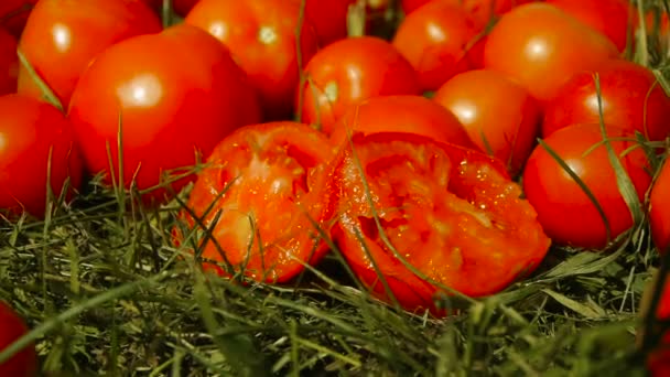 One half-cut tomato lies on the green grass next to other tomatoes — Stock Video