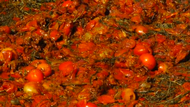 Tomates triturados, primer plano, Festival de tomates — Vídeos de Stock