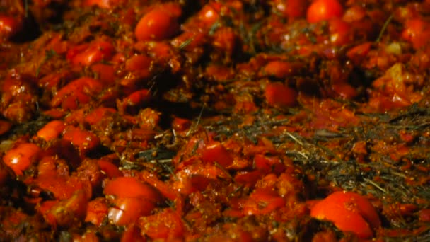 Tomates triturados, primer plano, Festival de tomates — Vídeos de Stock