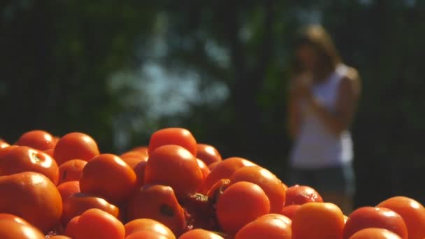 Eine junge Frau steht auf einem Grundstück, auf dem viele Tomaten liegen — Stockvideo