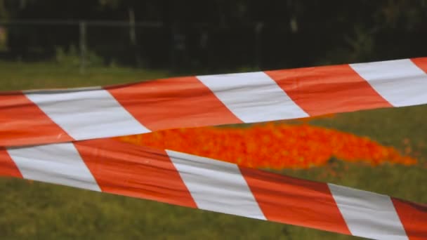 Red and white caution tape near of the tomato harvest — Stock Video