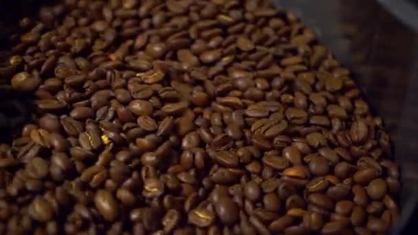 Raffreddare i chicchi di caffè dopo la tostatura. Macchina per arrostire, primo piano — Video Stock