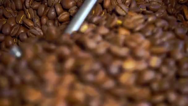 Cooling coffee beans after roasting. Roasting machine, close-up — Stock Video