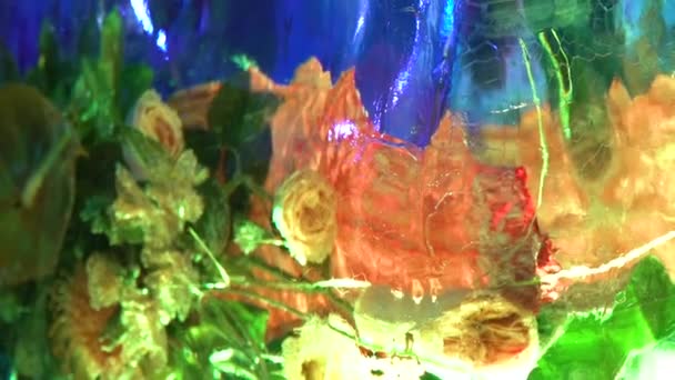 Flores congeladas, Flores heladas, Ramos florales encerrados en bloques de hielo — Vídeos de Stock