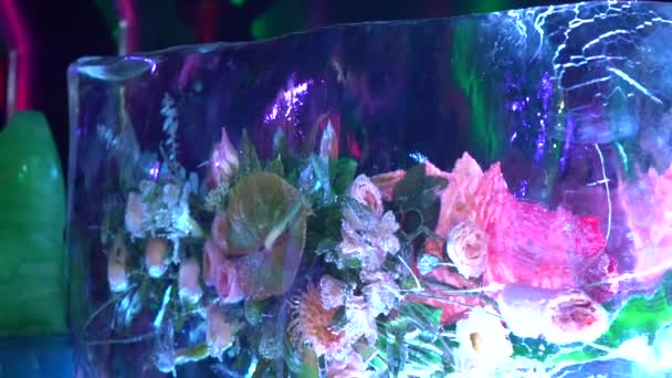 Flores congeladas, flores geladas, buquês florais bloqueados em blocos de gelo — Vídeo de Stock
