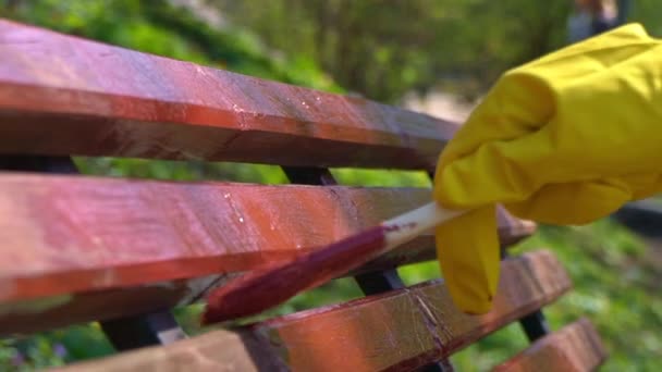 Nahaufnahme der Hand in gelbem Schutzhandschuh Malerei Holzplanke mit Pinsel Pinsel in roter Farbe, Zeitlupe — Stockvideo