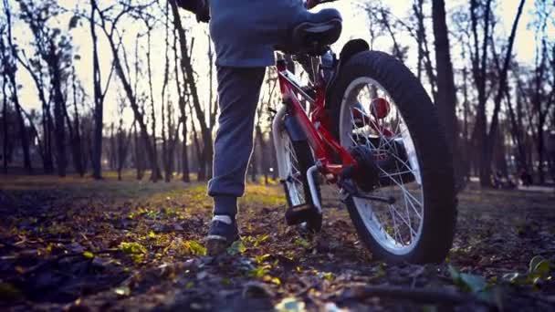 Kleine jongen rijden de fiets in het park, zonsondergang park — Stockvideo