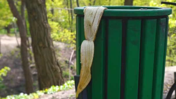 Schil van een banaan op een groene urn, gegeten bananen — Stockvideo