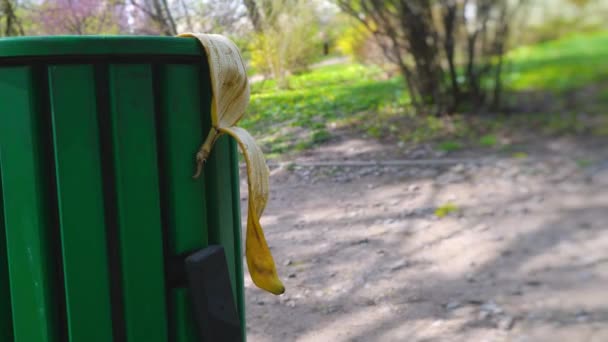 Peler d'une banane sur une urne verte, manger de la banane — Video