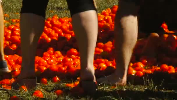 Uma batalha de tomates, as pessoas estão jogando tomates — Vídeo de Stock