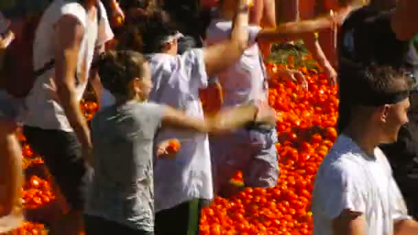Bitva u rajčat, lidé jsou házení rajčat — Stock video