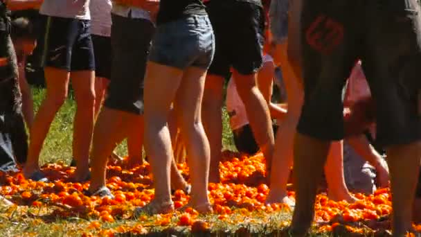 Een slag van tomaten, mensen zijn het gooien van tomaten — Stockvideo