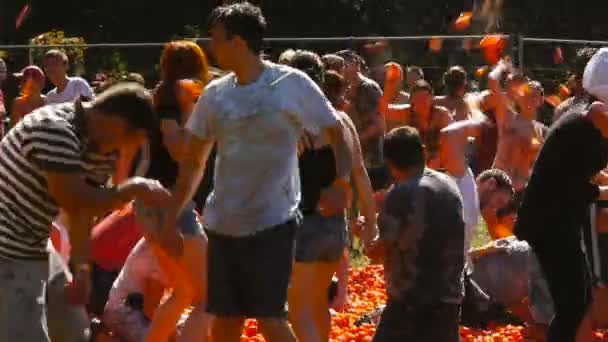 Een slag van tomaten, mensen zijn het gooien van tomaten — Stockvideo