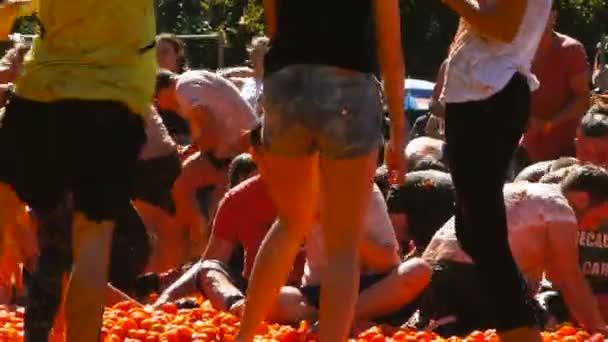 Een slag van tomaten, mensen zijn het gooien van tomaten — Stockvideo