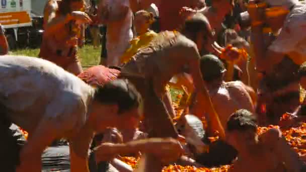 Een slag van tomaten, mensen zijn het gooien van tomaten — Stockvideo