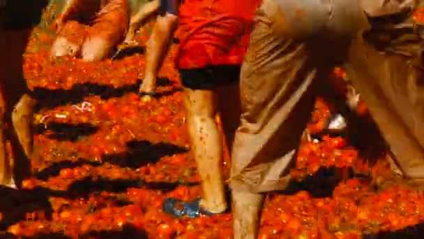 Сражение помидоров, люди бросают помидоры — стоковое видео