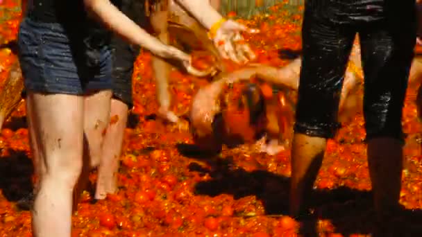 Een slag van tomaten, mensen zijn het gooien van tomaten — Stockvideo