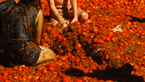 Uma batalha de tomates, as pessoas estão jogando tomates — Vídeo de Stock