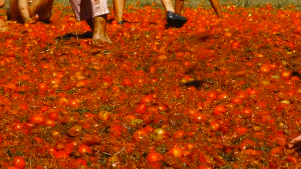 Uma batalha de tomates, as pessoas estão jogando tomates — Vídeo de Stock