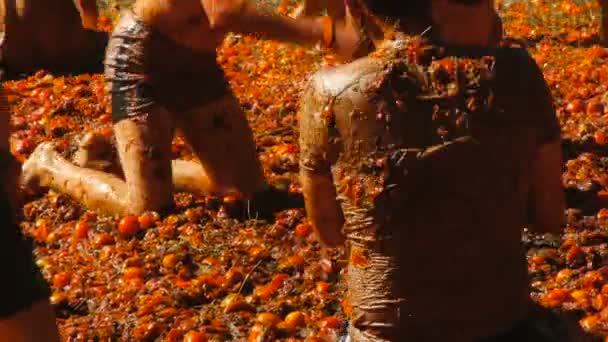 Een slag van tomaten, mensen zijn het gooien van tomaten — Stockvideo