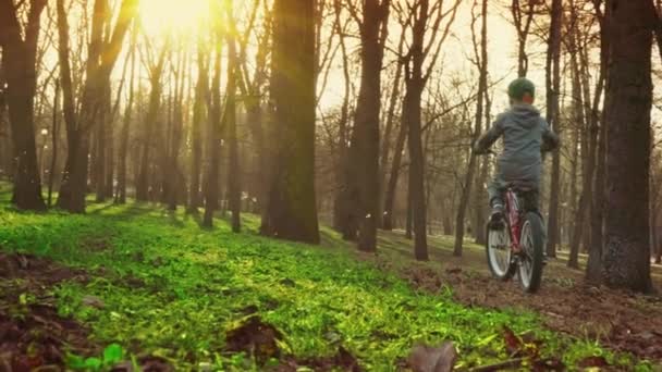 Menino aprende a andar de bicicleta no parque, pôr-do-sol, câmera lenta — Vídeo de Stock