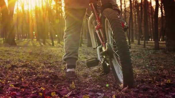 El niño aprende a andar en bicicleta en el parque, al atardecer, a cámara lenta — Vídeo de stock