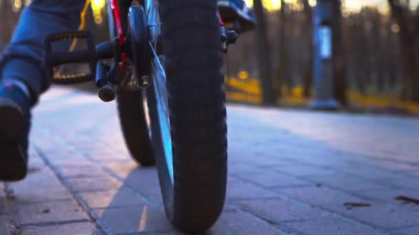 Menino aprende a andar de bicicleta no parque, pôr-do-sol, câmera lenta — Vídeo de Stock