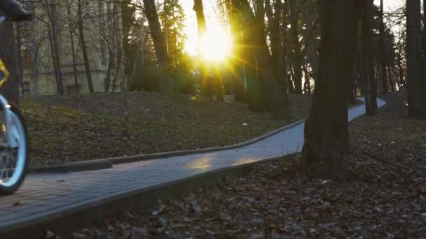 Malého chlapce jedoucího na kole v parku, park v západu slunce, pomalý pohyb — Stock video