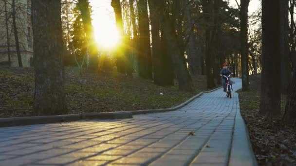 Petit garçon en vélo dans le parc, coucher de soleil parc, ralenti — Video