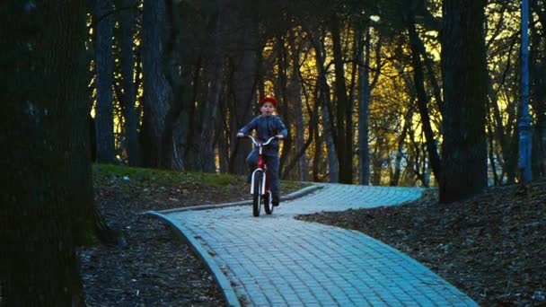 Malého chlapce jedoucího na kole v parku, park v západu slunce, pomalý pohyb