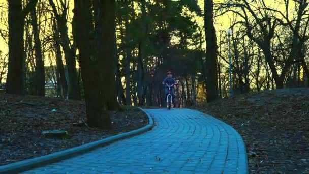 Niño pequeño montando la bicicleta en el parque, el parque de la puesta del sol, cámara lenta — Vídeos de Stock